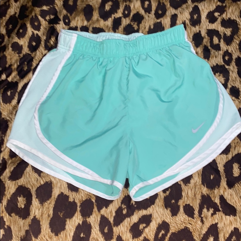 Mint Nike Shorts XS